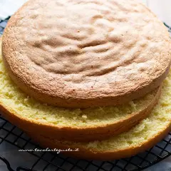 Due dischi di pan di spagna sofficissimo, uno sopra l'altro, su una griglia. La superficie dorata e la mollica gialla invitano a gustarlo.