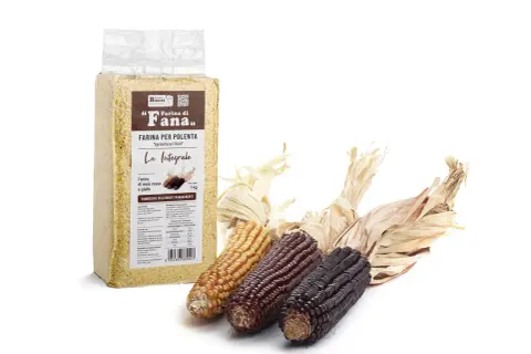 Un sacchetto di farina di mais integrale per polenta, con tre pannocchie di mais colorate (giallo, rosso, viola) accanto.