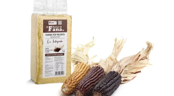 Un sacchetto di farina di mais integrale per polenta, con tre pannocchie di mais colorate (giallo, rosso, viola) accanto.