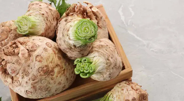 Sedano rapa freschi in una cassetta di legno, pronti per gustose ricette.