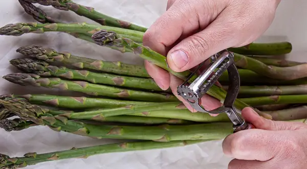 Mani che pelano asparagi verdi con un pelapatate. Impara come pulire gli asparagi per una preparazione perfetta.