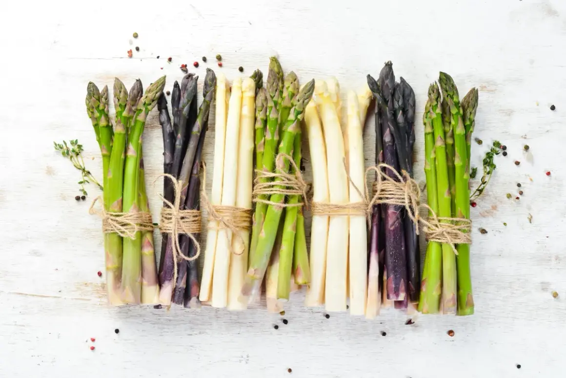 Asparagi verdi, bianchi e viola legati con spago, pronti per scoprire come cucinare gli asparagi. Spezie sparse.